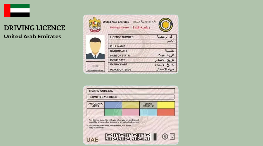 License Renewal Dubai Fees – Complete Guide
